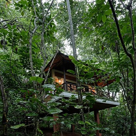 Coffee Acres Resort Kalpetta Esterno foto