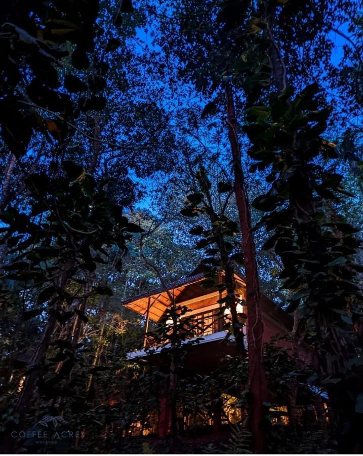 Coffee Acres Resort Kalpetta Esterno foto