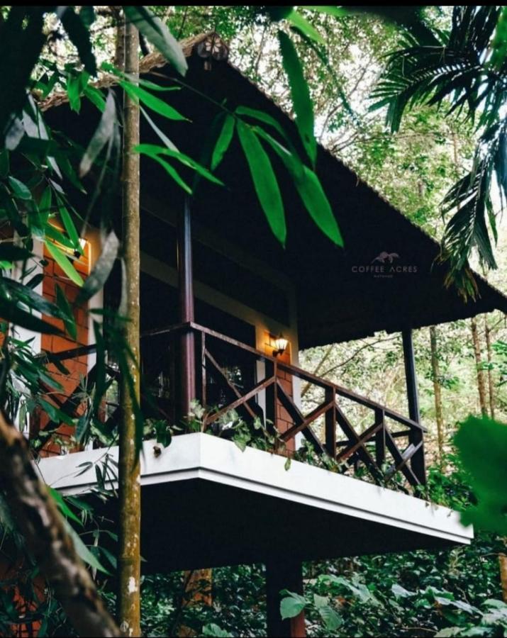 Coffee Acres Resort Kalpetta Esterno foto