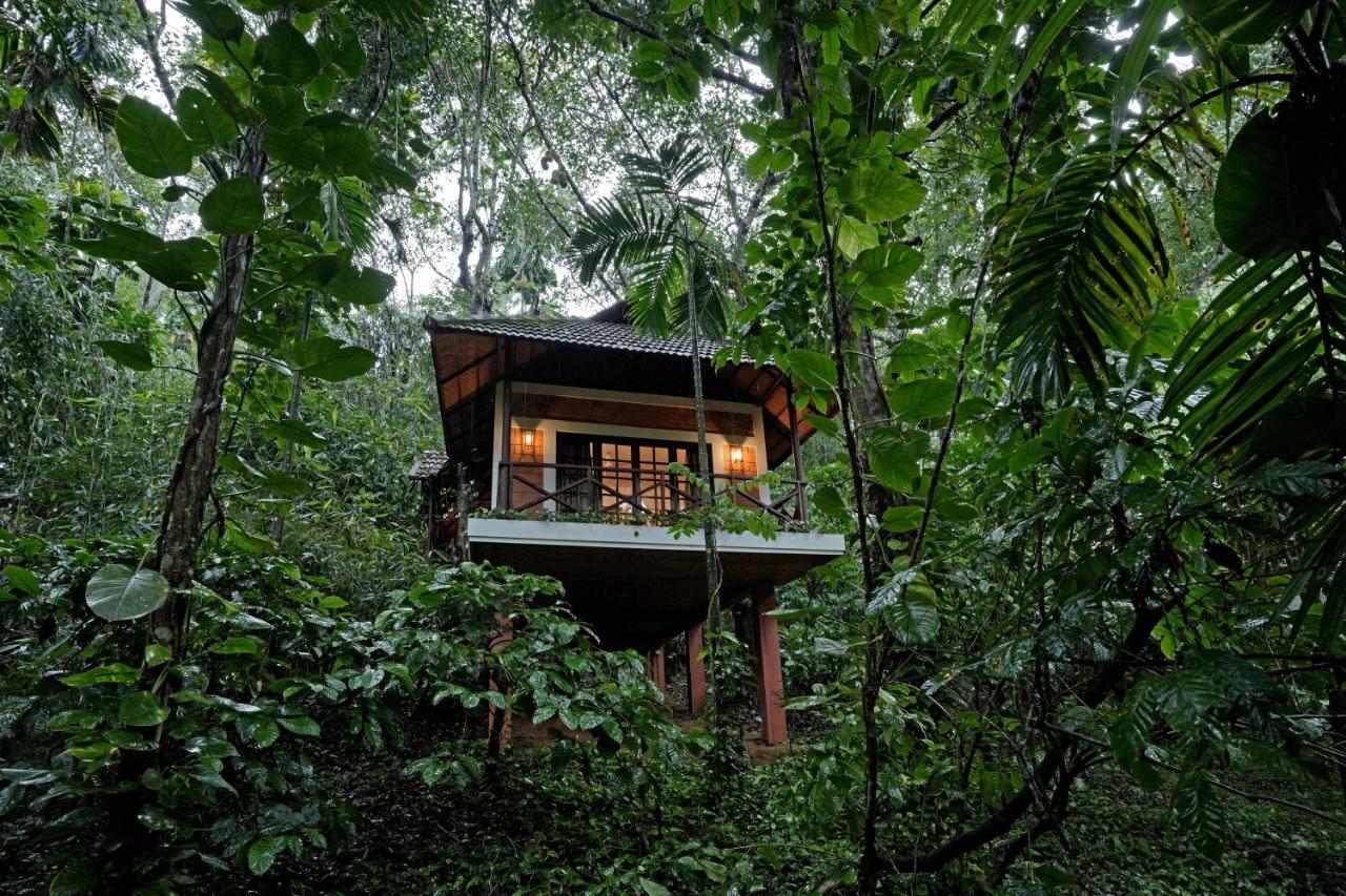 Coffee Acres Resort Kalpetta Esterno foto