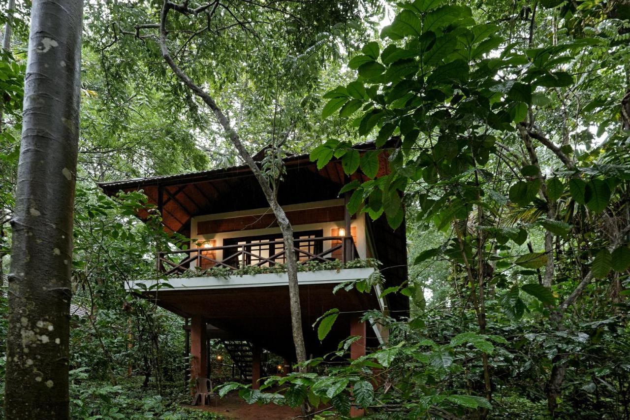 Coffee Acres Resort Kalpetta Esterno foto
