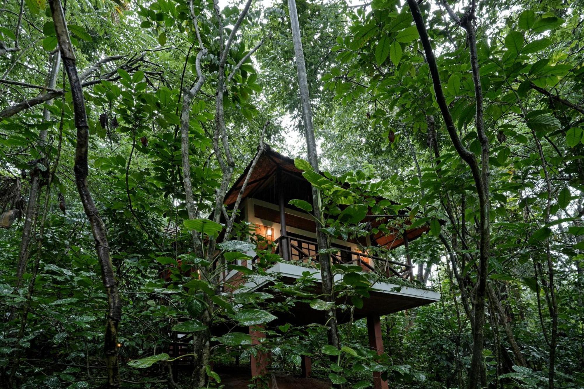 Coffee Acres Resort Kalpetta Esterno foto