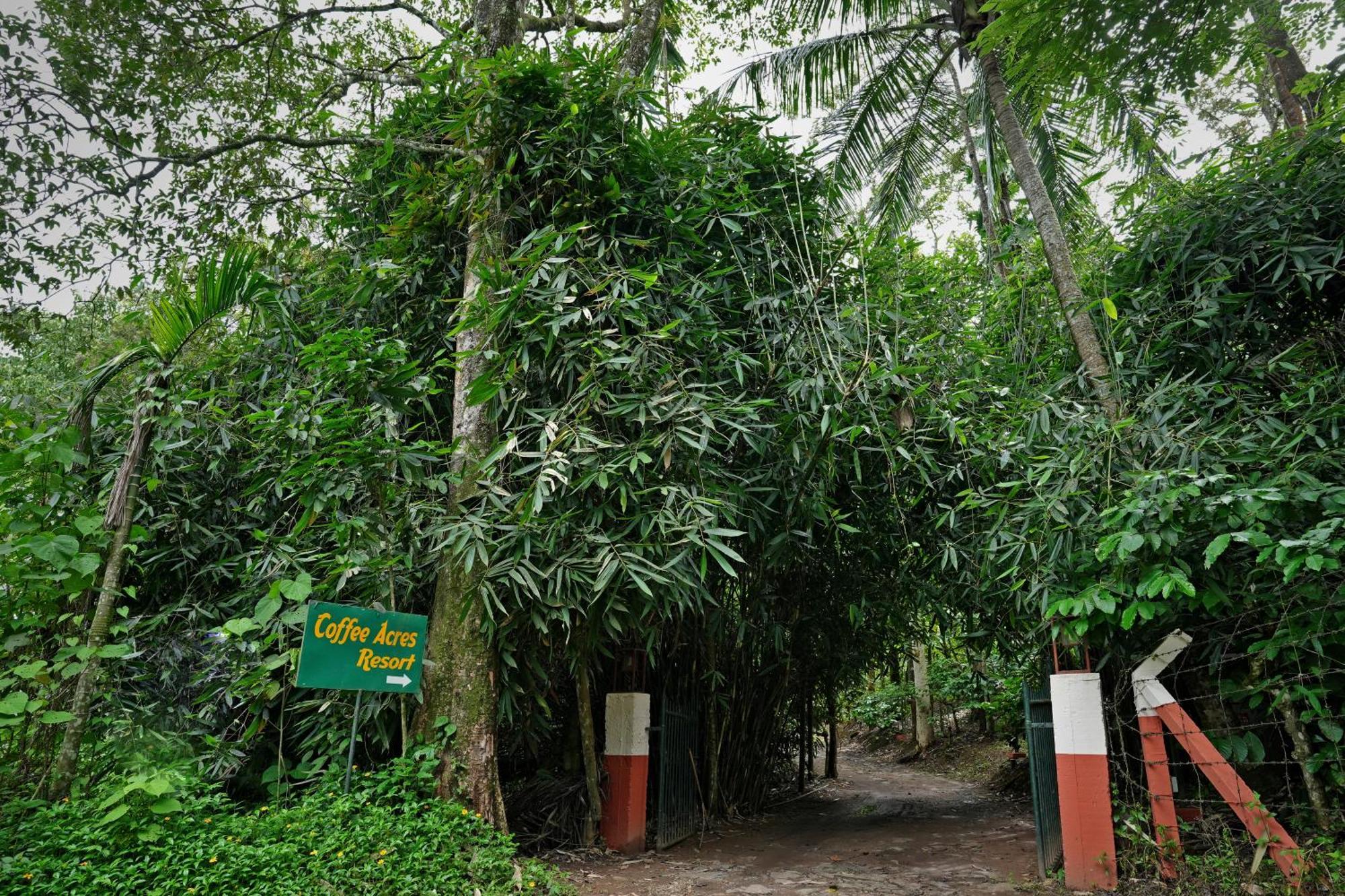 Coffee Acres Resort Kalpetta Esterno foto