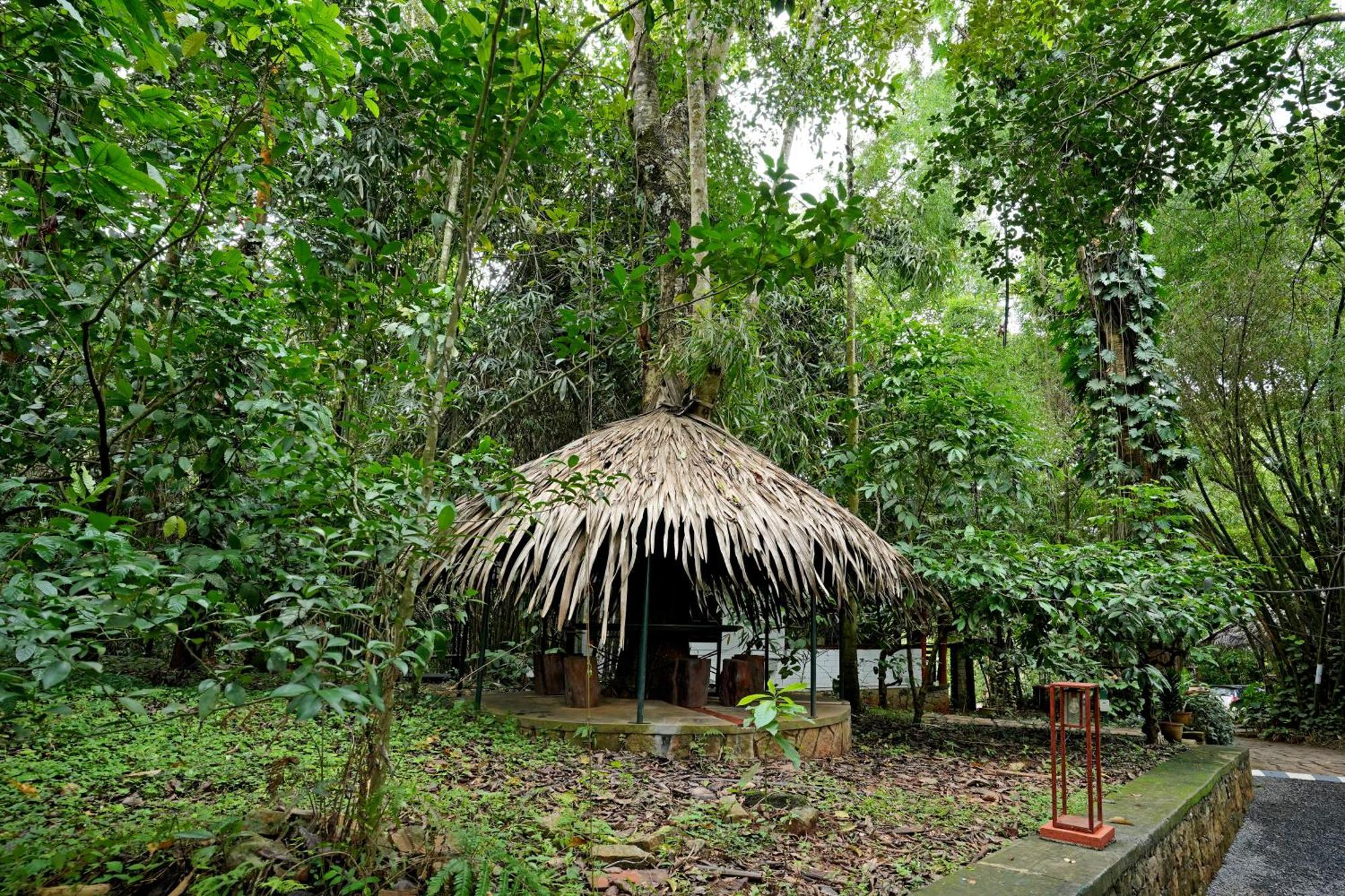 Coffee Acres Resort Kalpetta Esterno foto