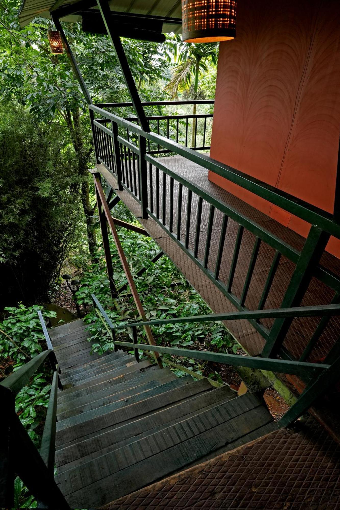 Coffee Acres Resort Kalpetta Esterno foto