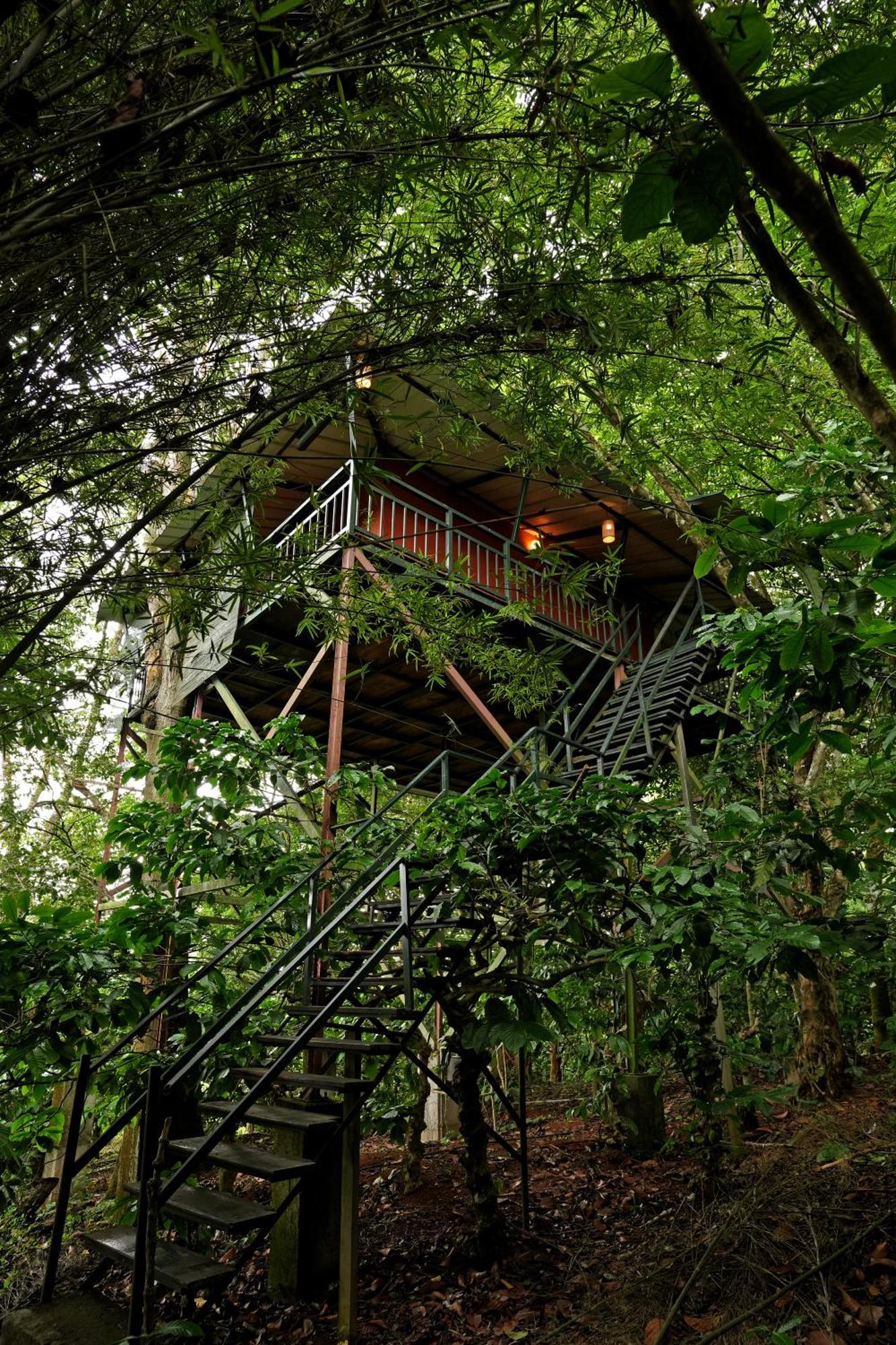 Coffee Acres Resort Kalpetta Esterno foto